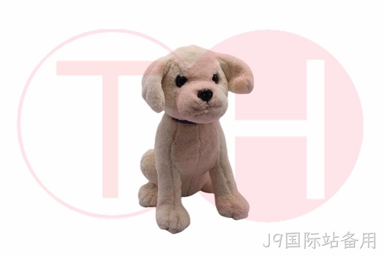 选对玩具才不会浪费